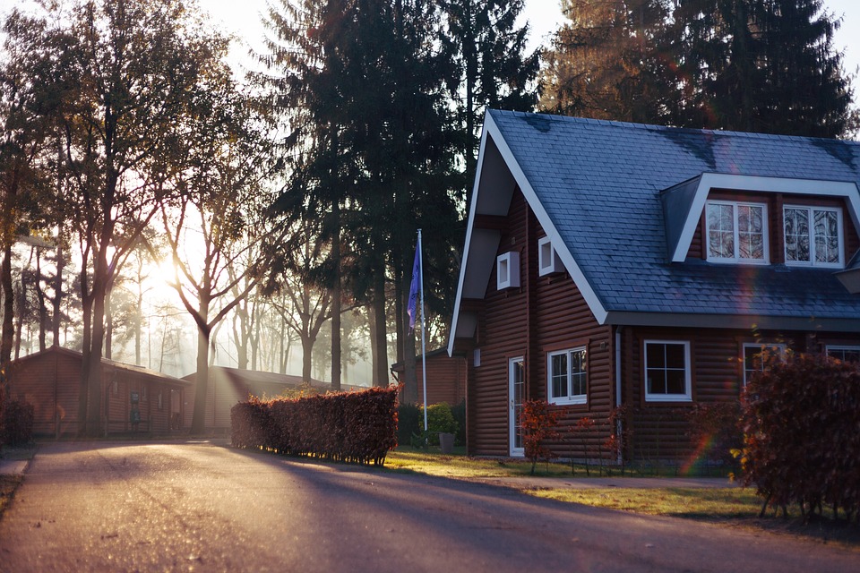 Residential tree services