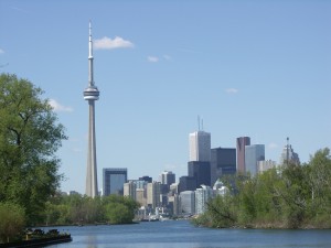 Toronto Arborist