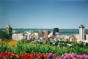 hamilton arborist