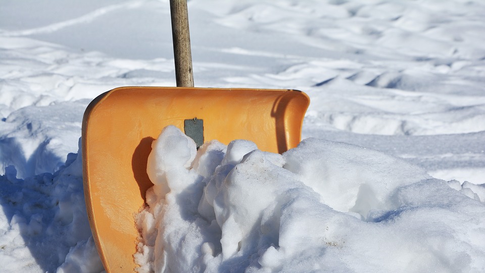 What Does Road Salt Do To Our Trees?